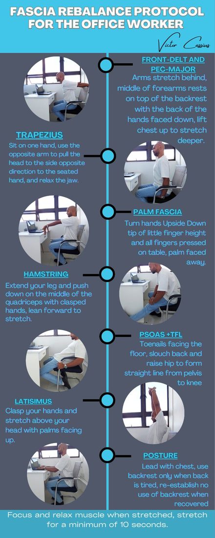 Preview · Fascia Rebalance — Seated Flow poster