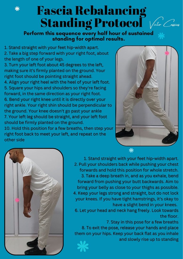 Preview · Fascia Rebalance — Standing Flow poster